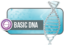 ThetaHealing Básico ThetaHealing Básico